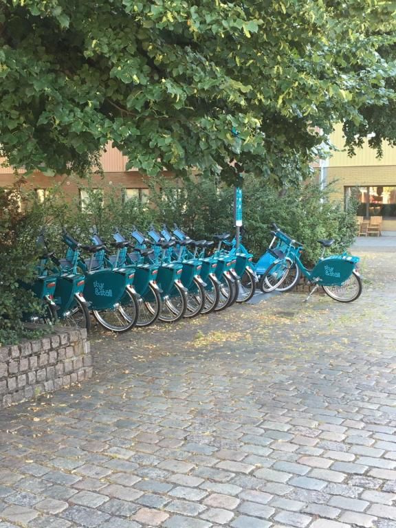 Rental bikes at Snoozemore Hostel