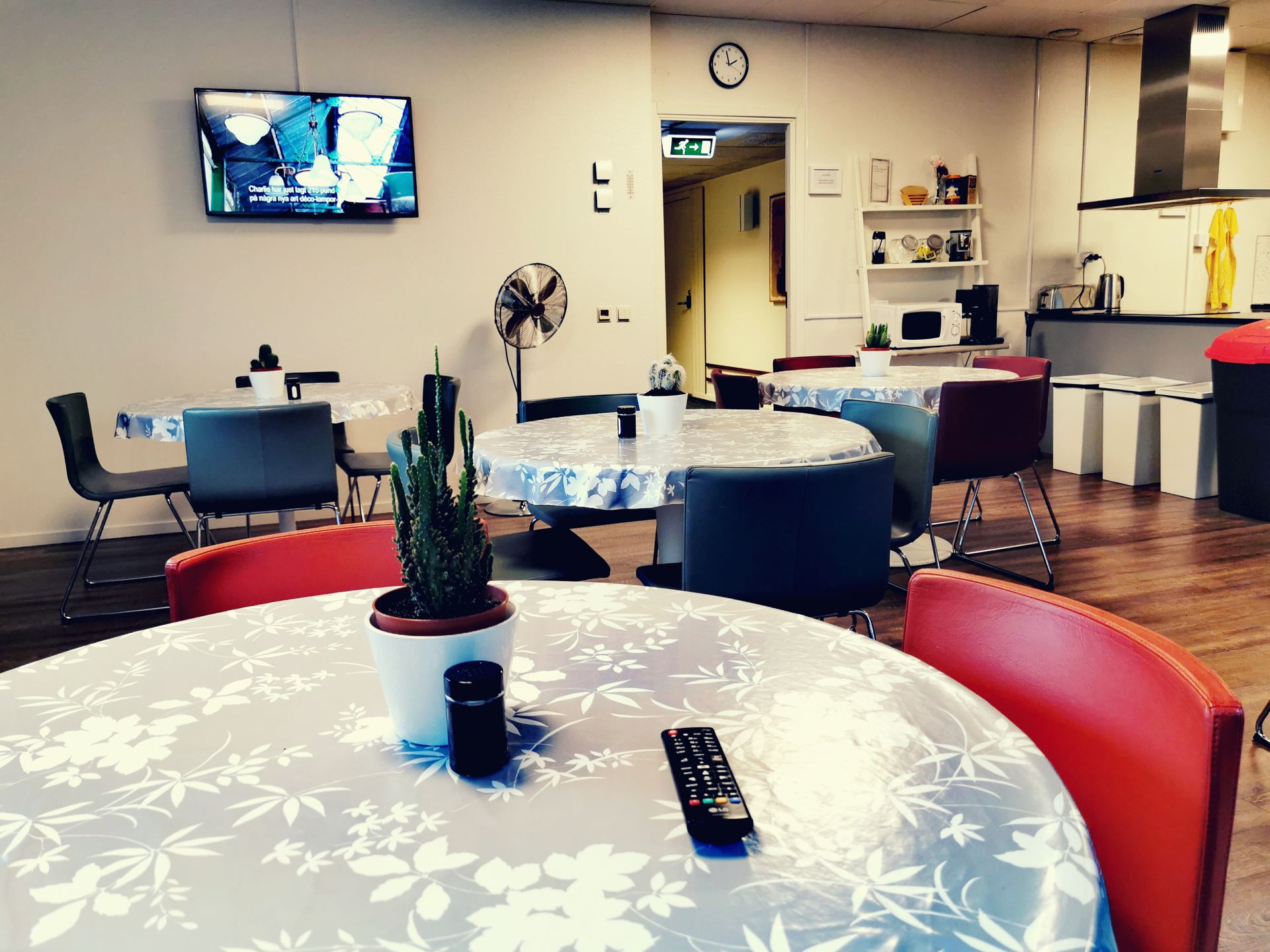 TV and kitchen area at Snoozemore